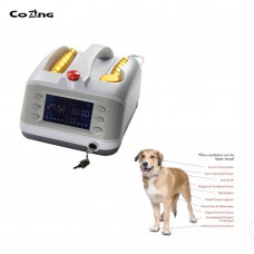 Laser Physiotherapy Aesthetics Laser Equipment+2 Probes 810nm and 650nm for Pain Wound Healing Pet Friendly Laser Physiotherapy Aesthetics Laser Equipment+2 Probes 810nm and 650nm for Pain Wound Healing Pet Friendly
